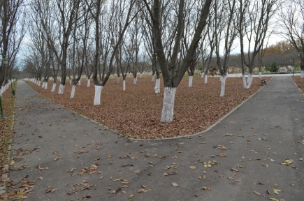 LE PARC DEONDROLOGIQUE